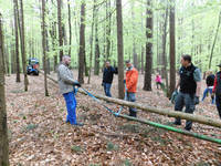 Highlight for album: Maibaumstellen 2017